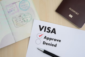 Demystifying the Visa Application Process